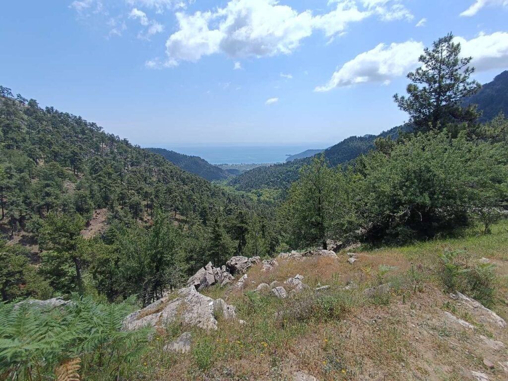 Thassos Ipsarion