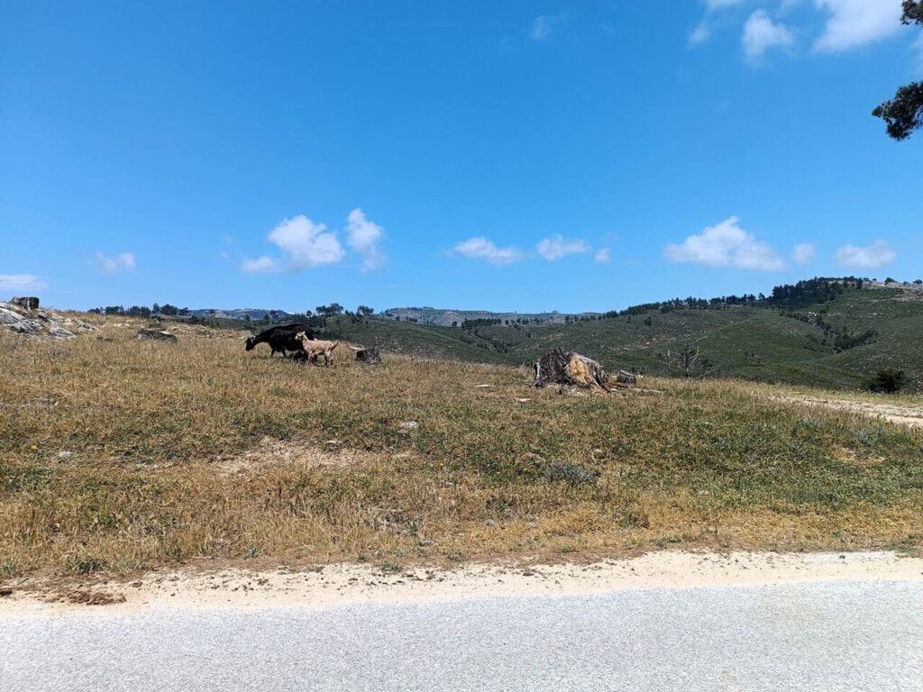 Opuszczone miasto Kastro Thassos