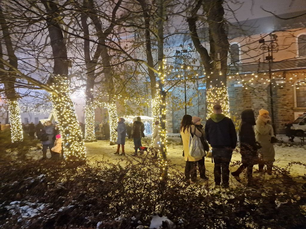 Ogrody światła w Płocku