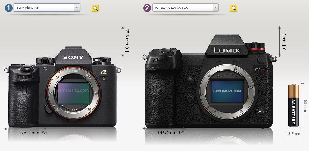 Sony Alpha A9 i Panasonic Lumix S1R