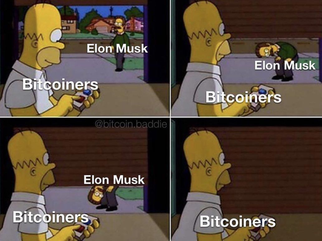 Bitcoin memy