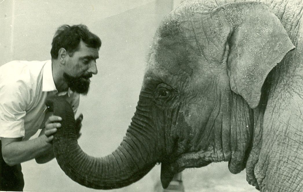 Uroczystość odsłonięcia tablicy 