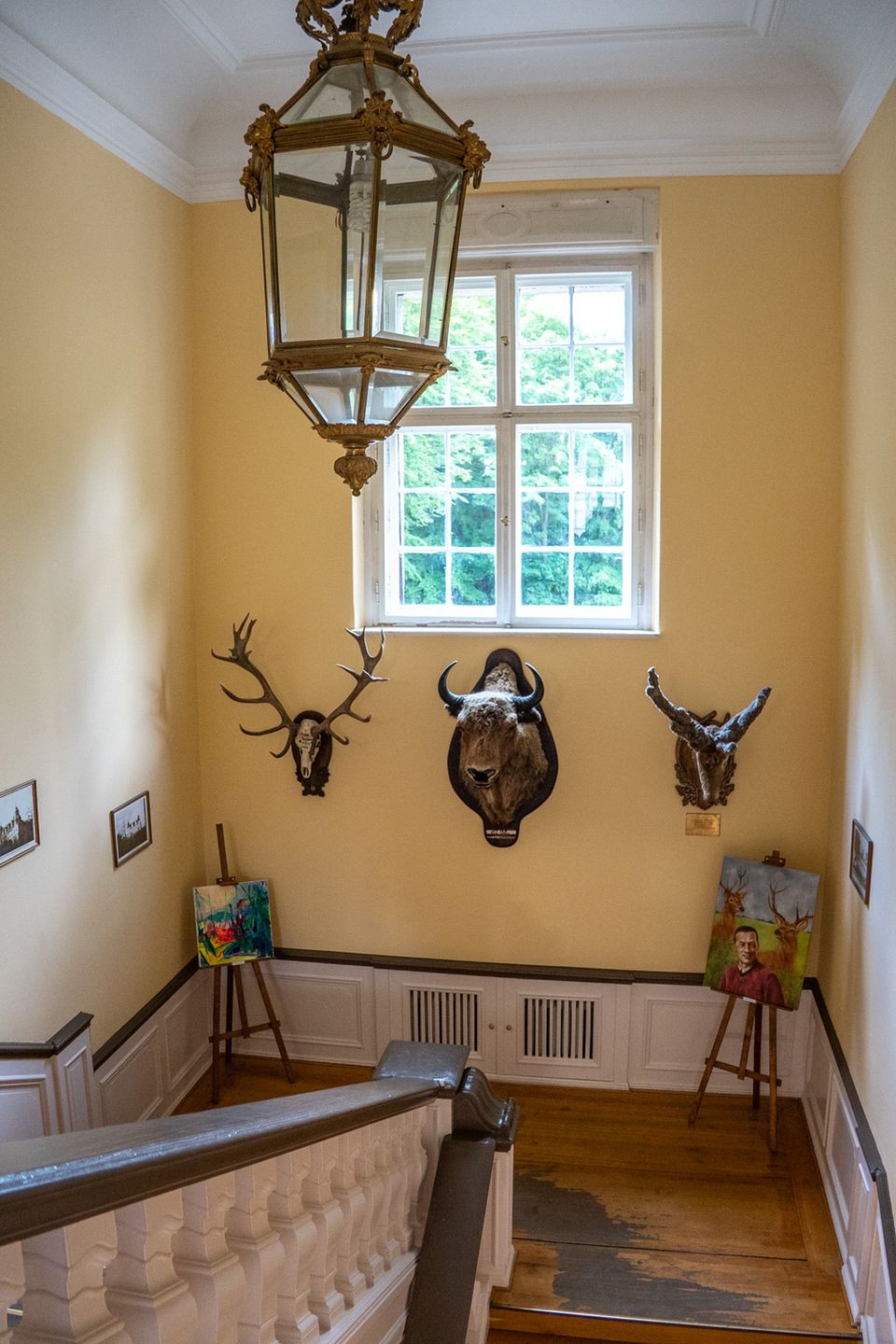 Zamek w Goraju, Goraj, Zamek