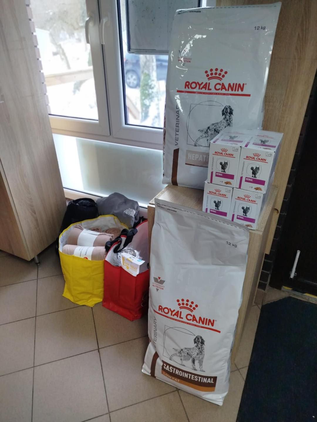 Pomoc dla schroniska