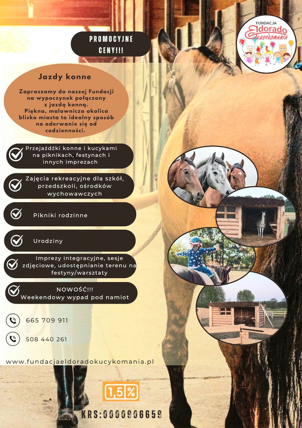 FUNDACJA ELDORADO & KUCYKOMANIA