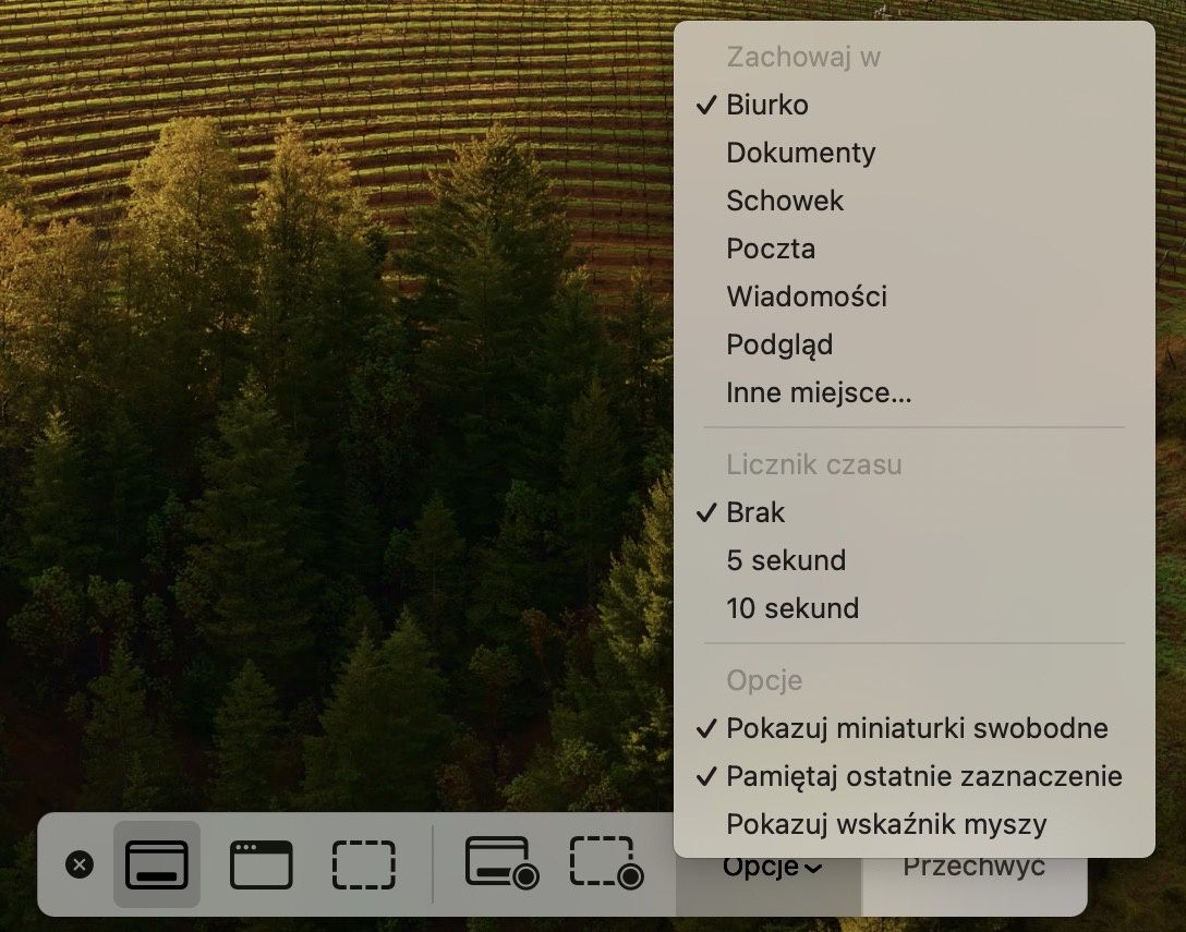 opcje zrzutów ekranu mac