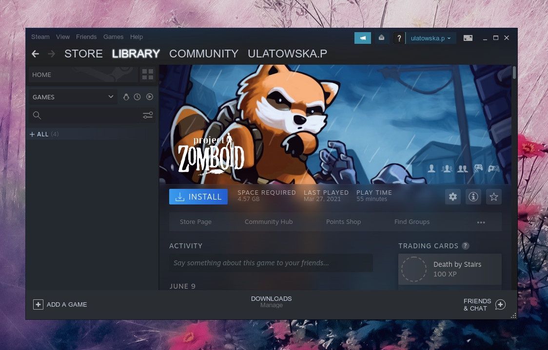 steam screen