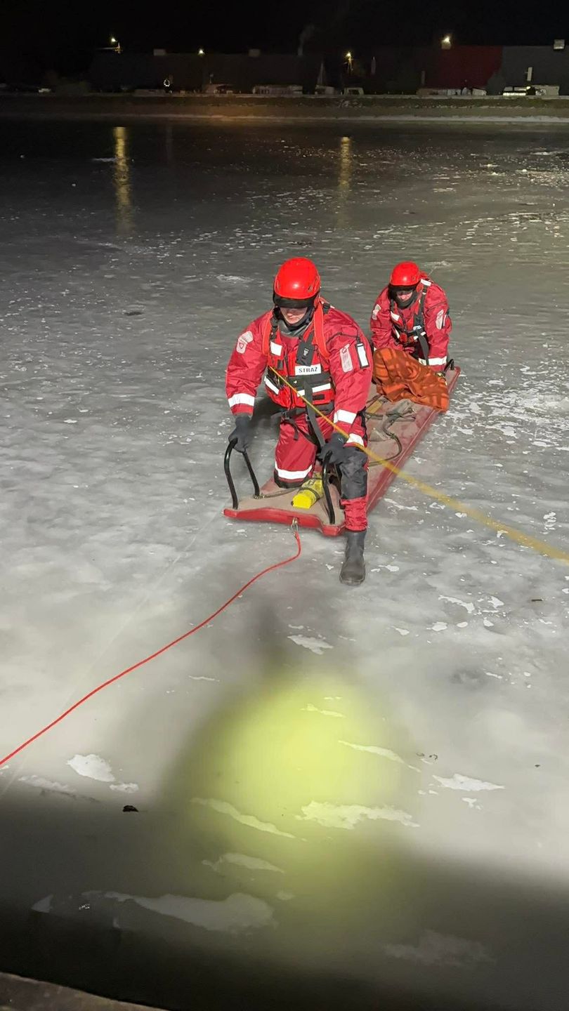 Uratowane trzy łabędzie 