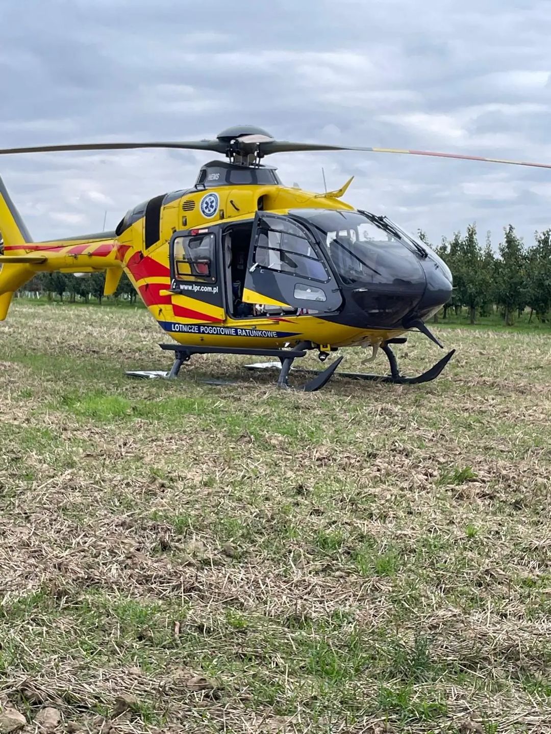 Zdjęcie dzięki uprzejmości SpottedAlert.pl