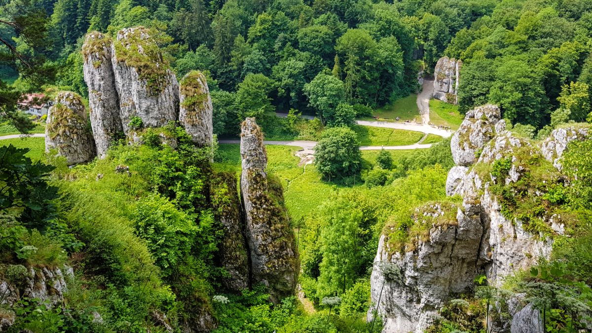 Skała Rękawica w Ojcowskim Parku Narodowym.