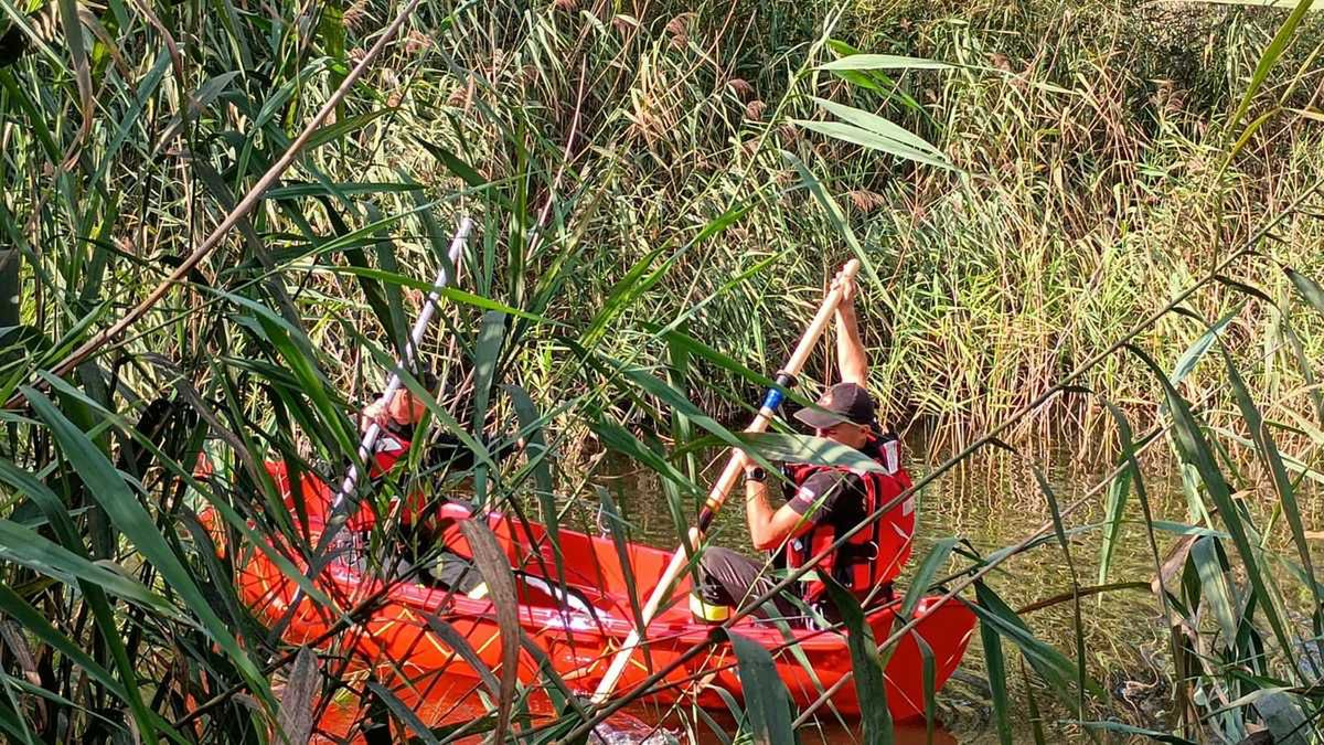 Poszukiwania seniorki 