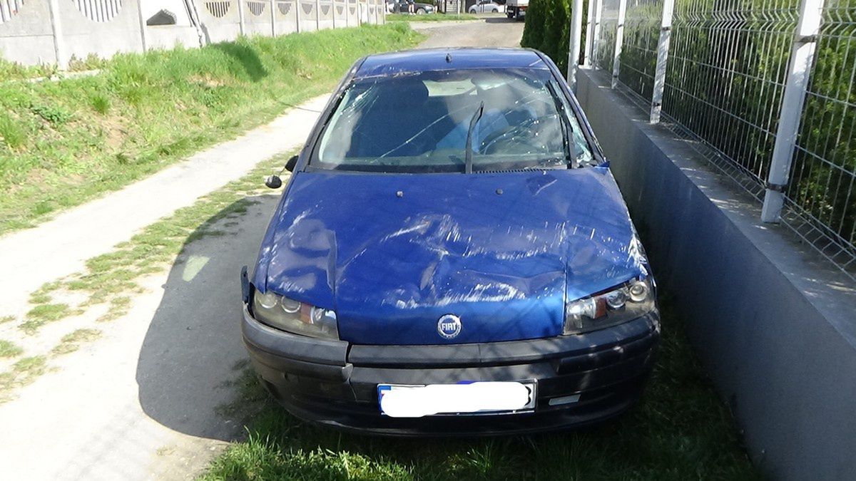 Punciakiem przez życie