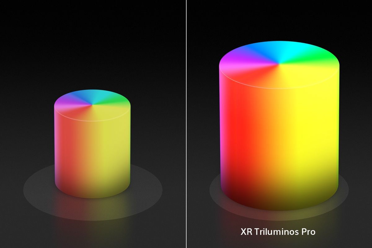 sony x90l xr triluminos pro