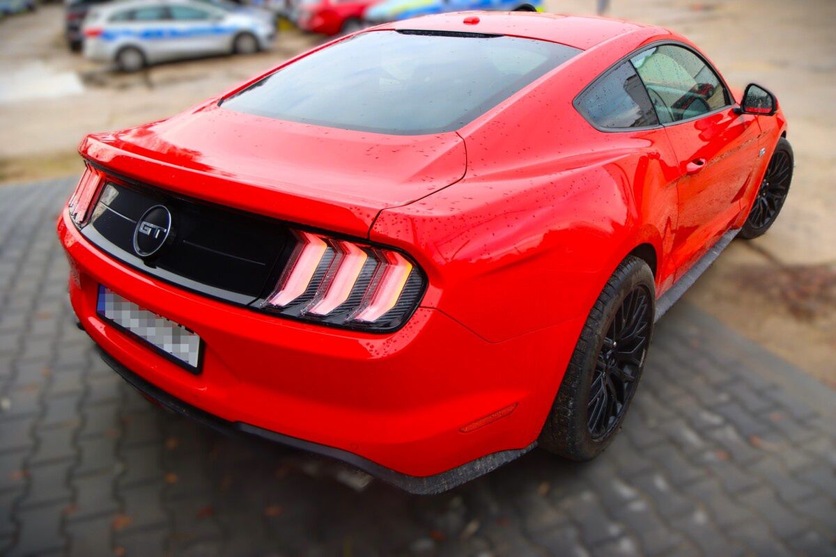 Mustang