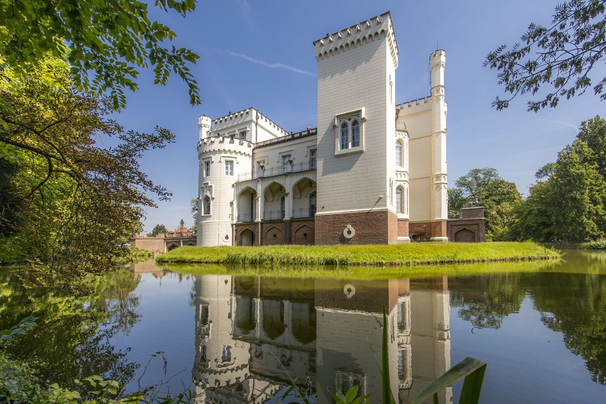 Miliony na ratowanie historii. Powiat poznański inwestuje w zaby