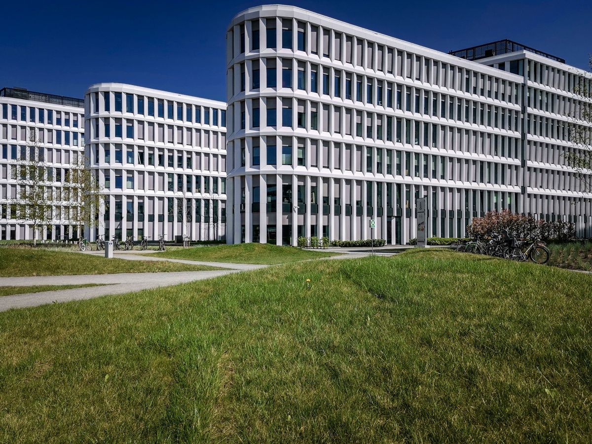 Honor View 20 - zdjęcie dzienne przetworzone