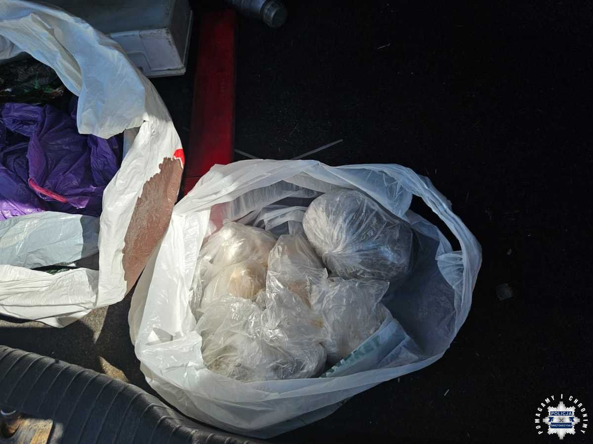 Zdjęcia z zatrzymania