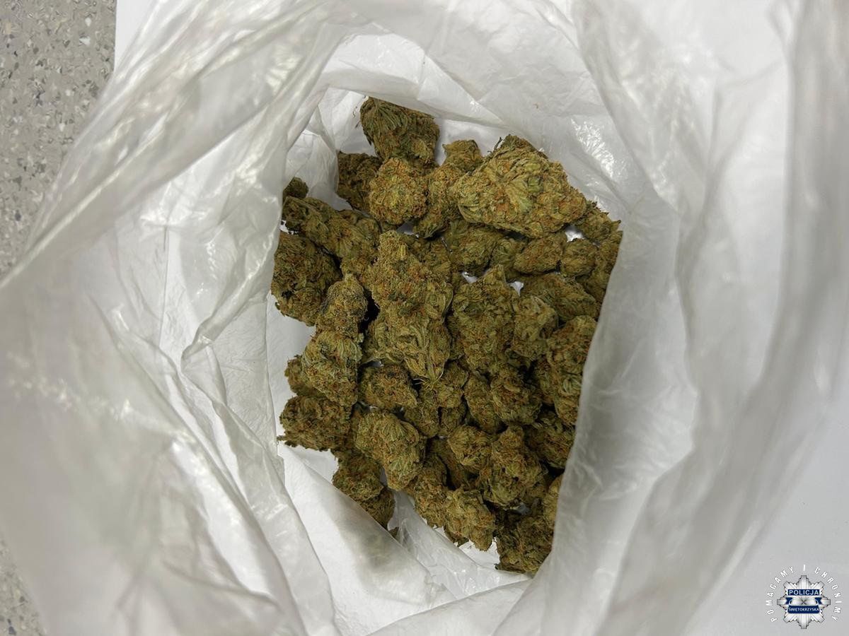 Zdjęcia z zatrzymania