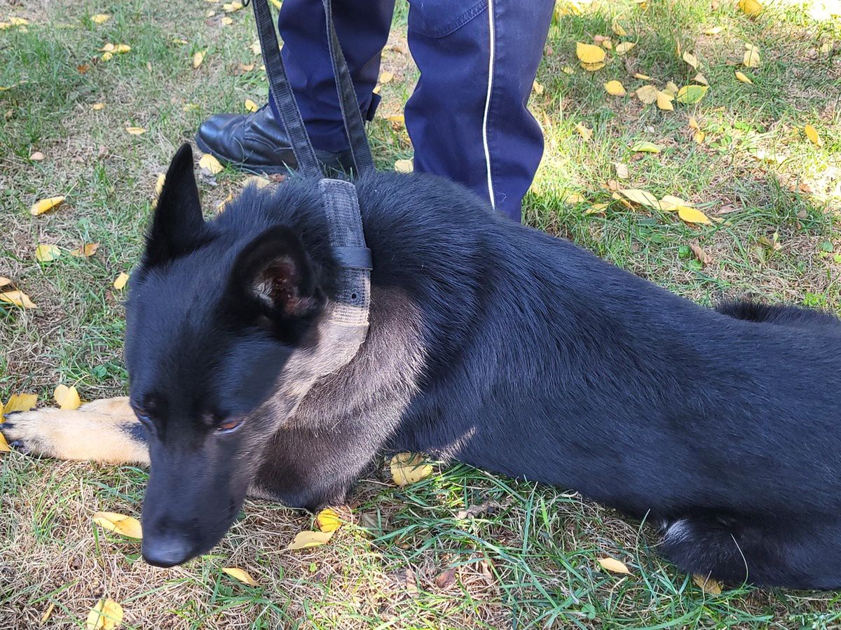 Aspirant z Selerem na podium 