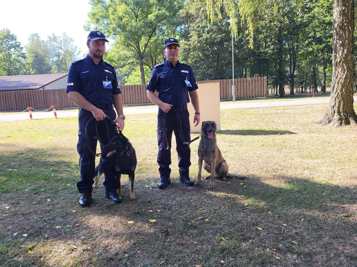 Aspirant z Selerem na podium 
