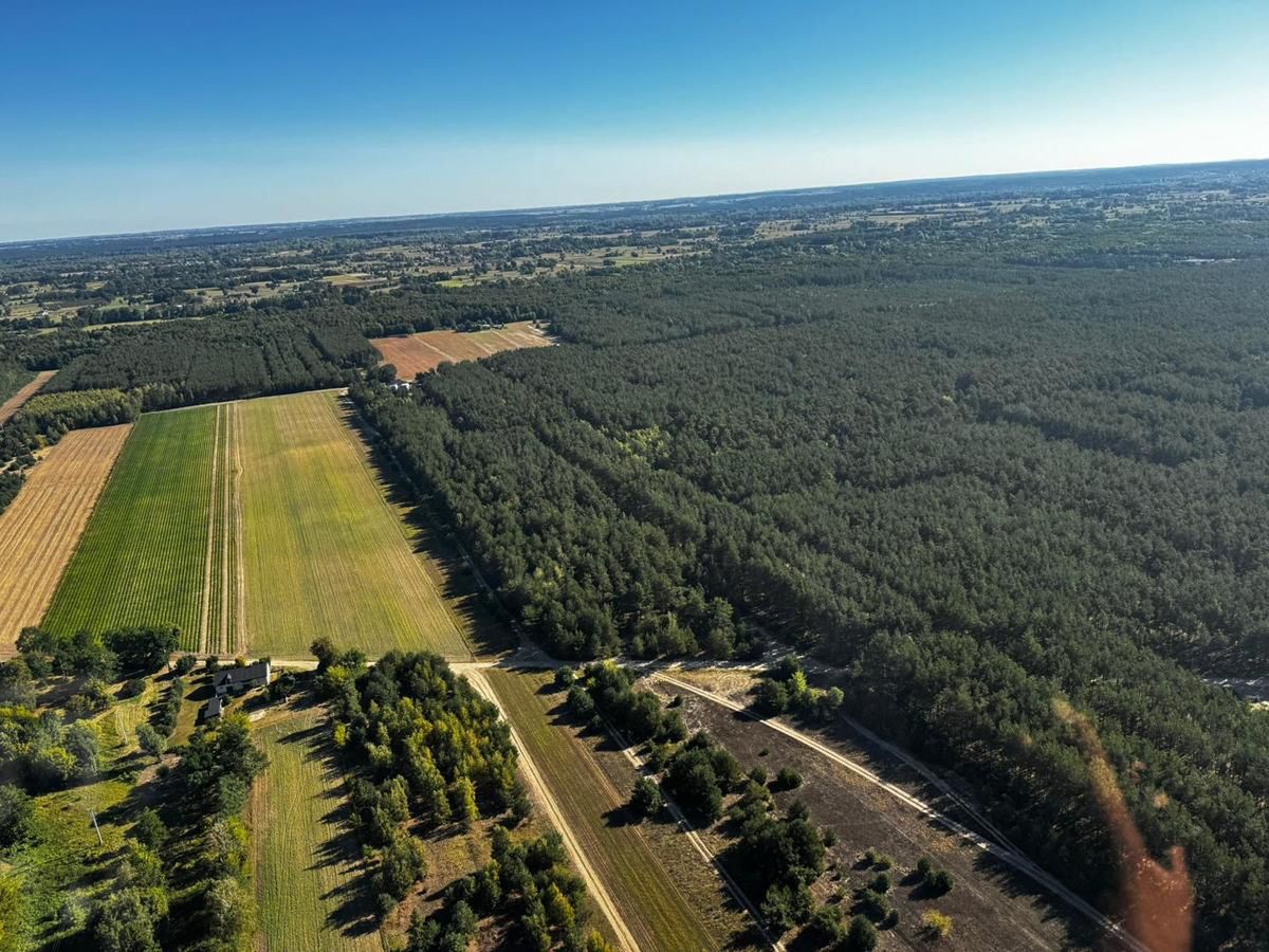 Poszukiwania seniorki 