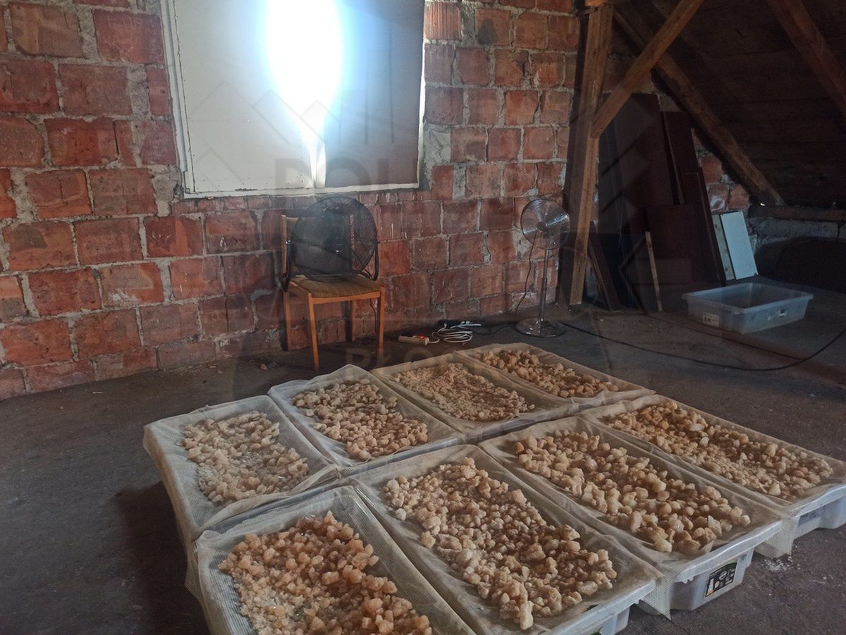 Likwidacja linii produkcyjnej narkotyków