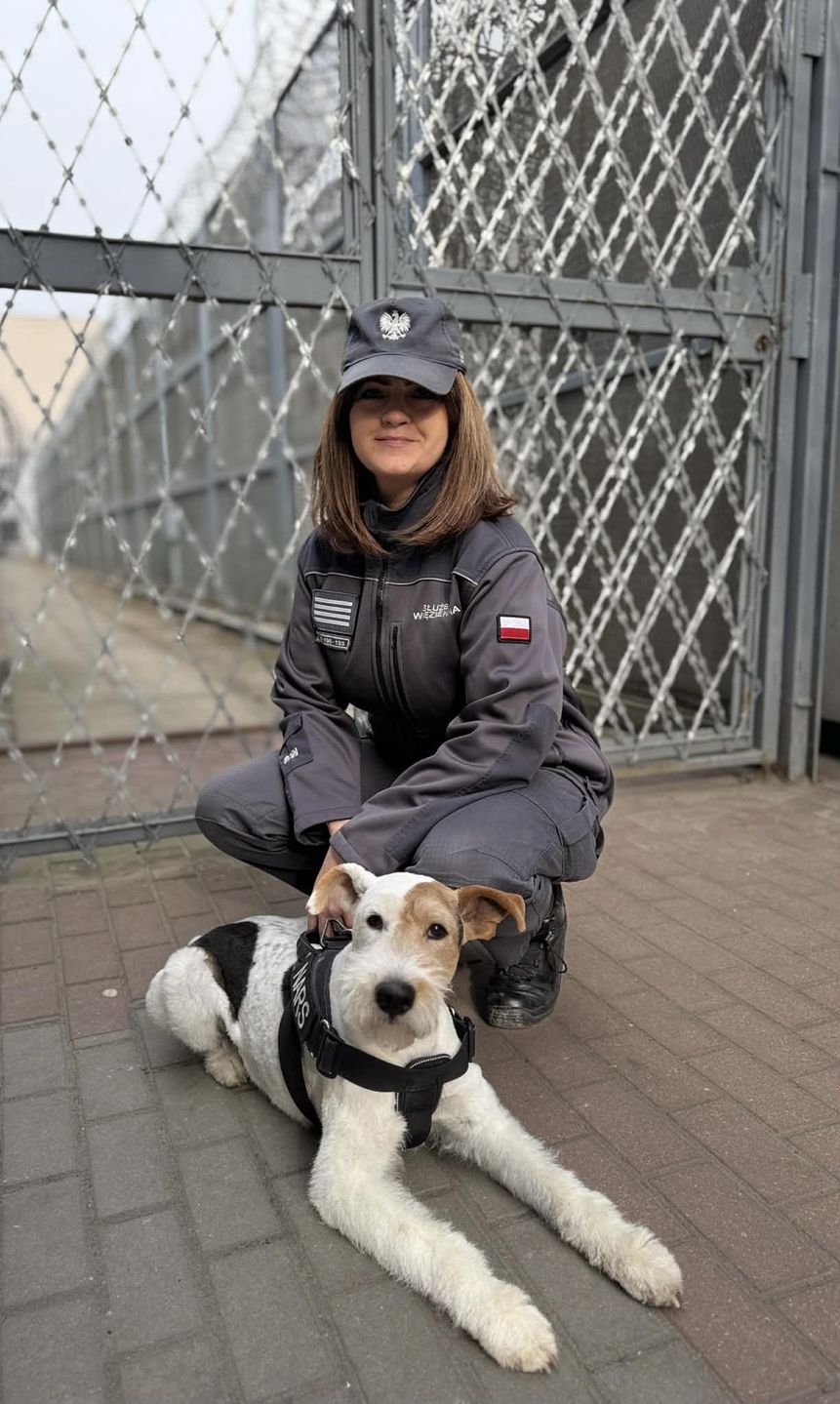 Funkcjonariuszka przerwała przemoc