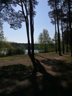 Honor 8 Pro aparat główny zdjęcie