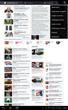 przeglądarka