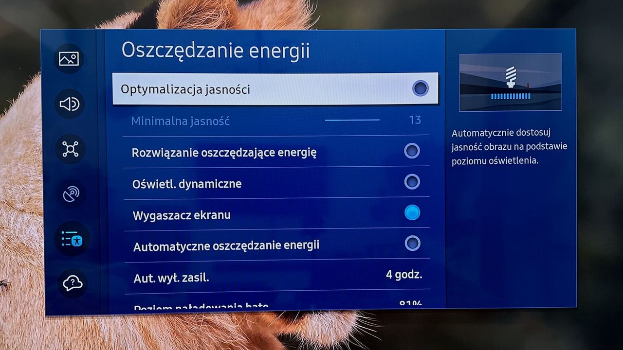 Samsung QLED 65Q77C - ustawienia inteligentne