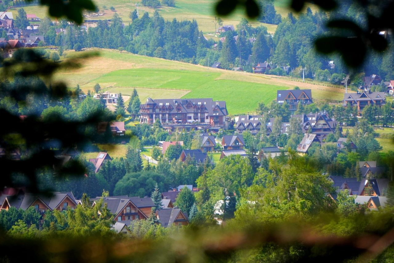 Widok na Zakopane z Drogi pod Reglami