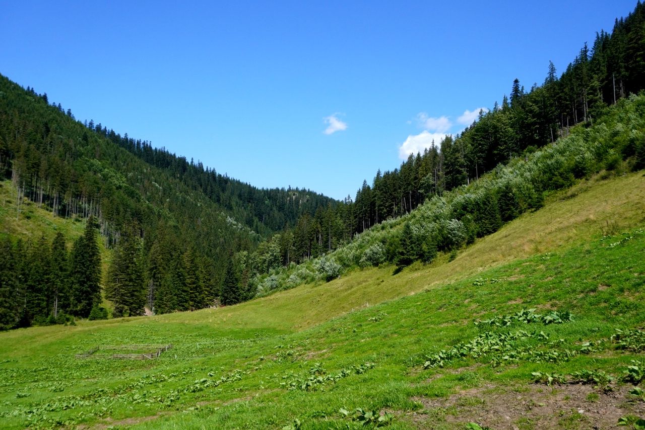 Dolina Lejowa