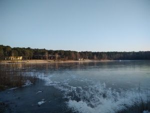 Wiko View przykładowe zdjęcie aparat główny