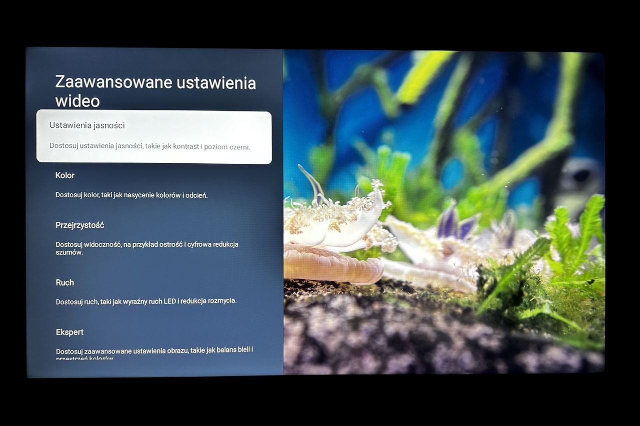 TCL 55C805 - menu obrazu