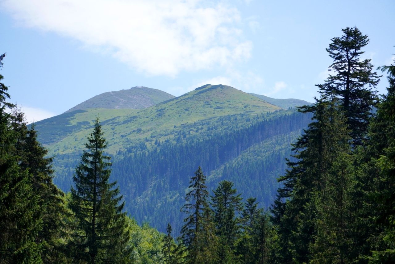 Widok z Doliny Lejowej