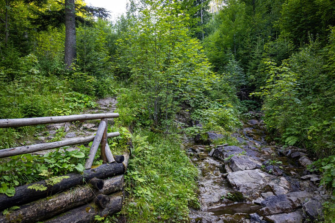 Mostek nad potokiem