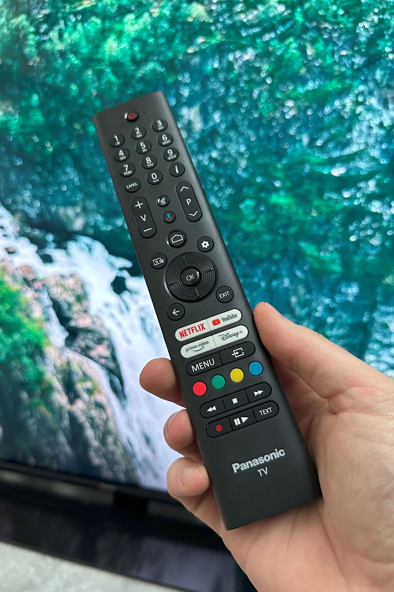 Panasonic TX-65MZ800E -