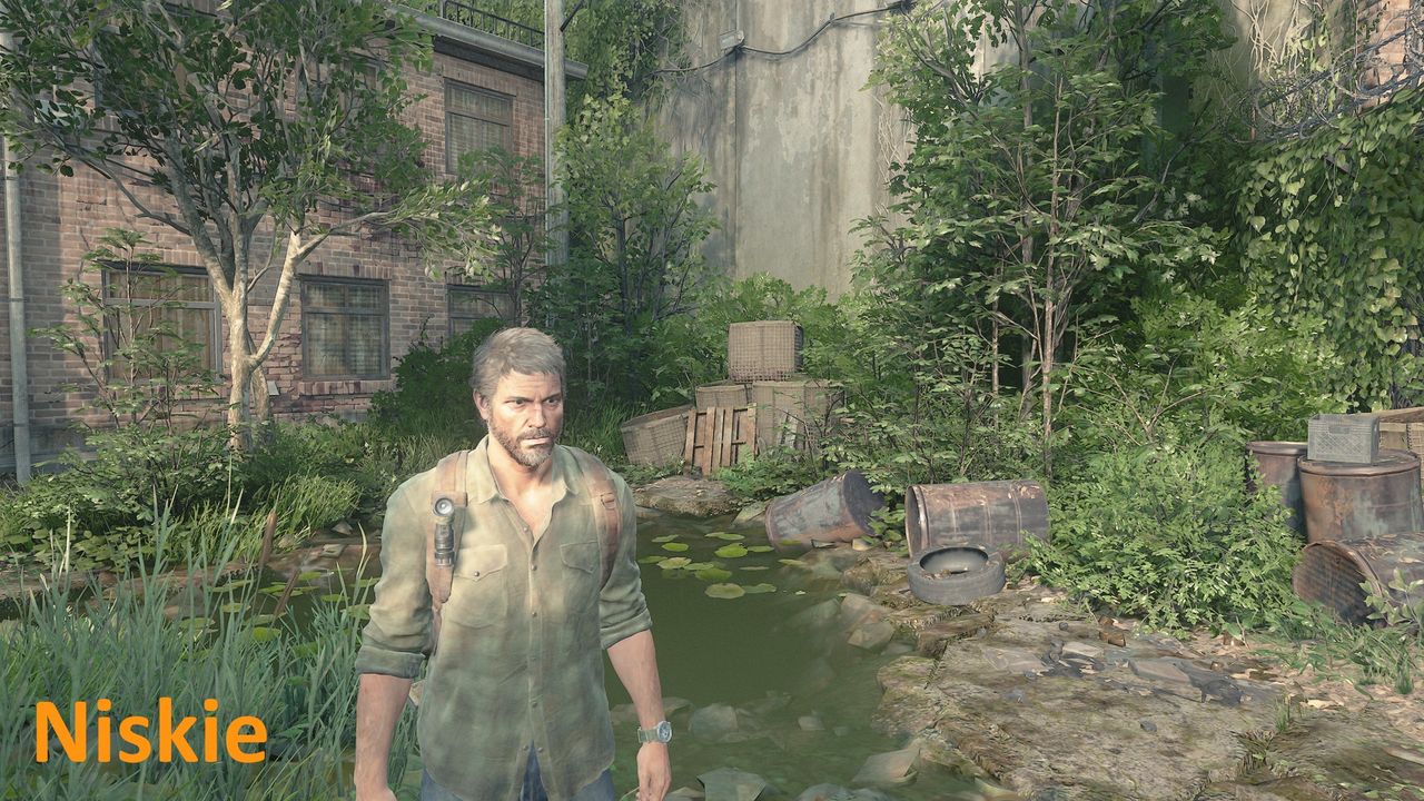 The Last of Us (PC) - detale niskie