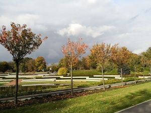 Huawei Mate 10 Pro przykładowe zdjęcie