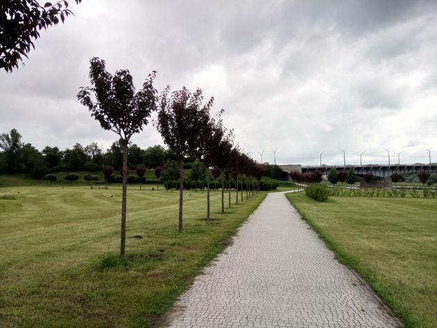 neffos x1 zdjęcie hdr 2