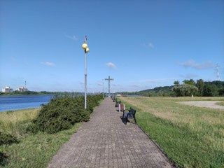 Zdjęcie z obiektywu głównego - automatyczne, 64 Mpix i z zoom x2.