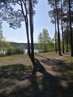 Honor 8 Pro aparat główny zdjęcie