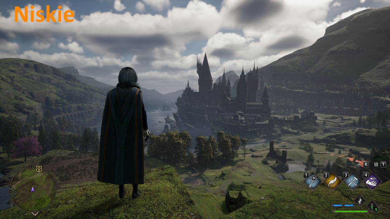 Hogwarts Legacy - ustawienia  niskie