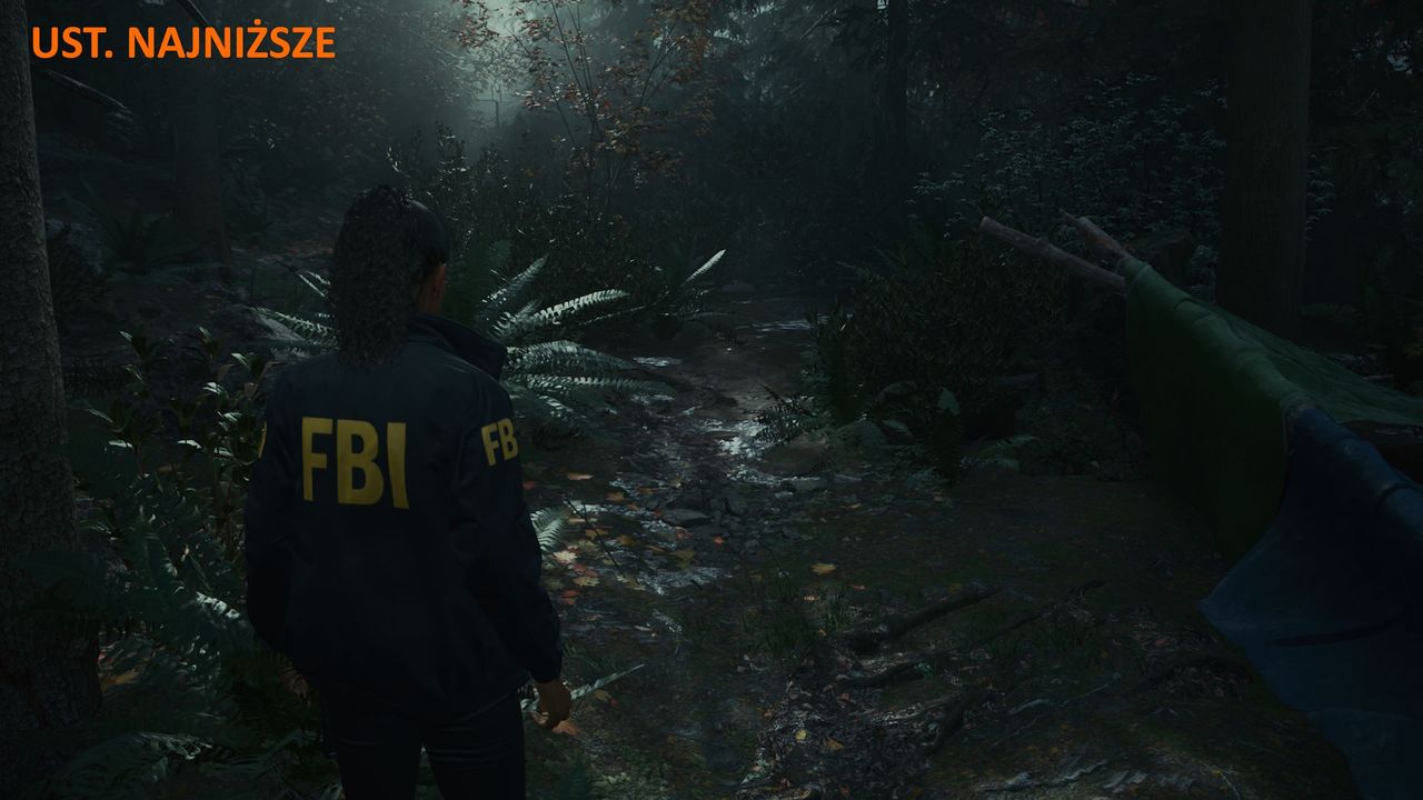 Alan Wake 2 - ustawienia najniższe 3