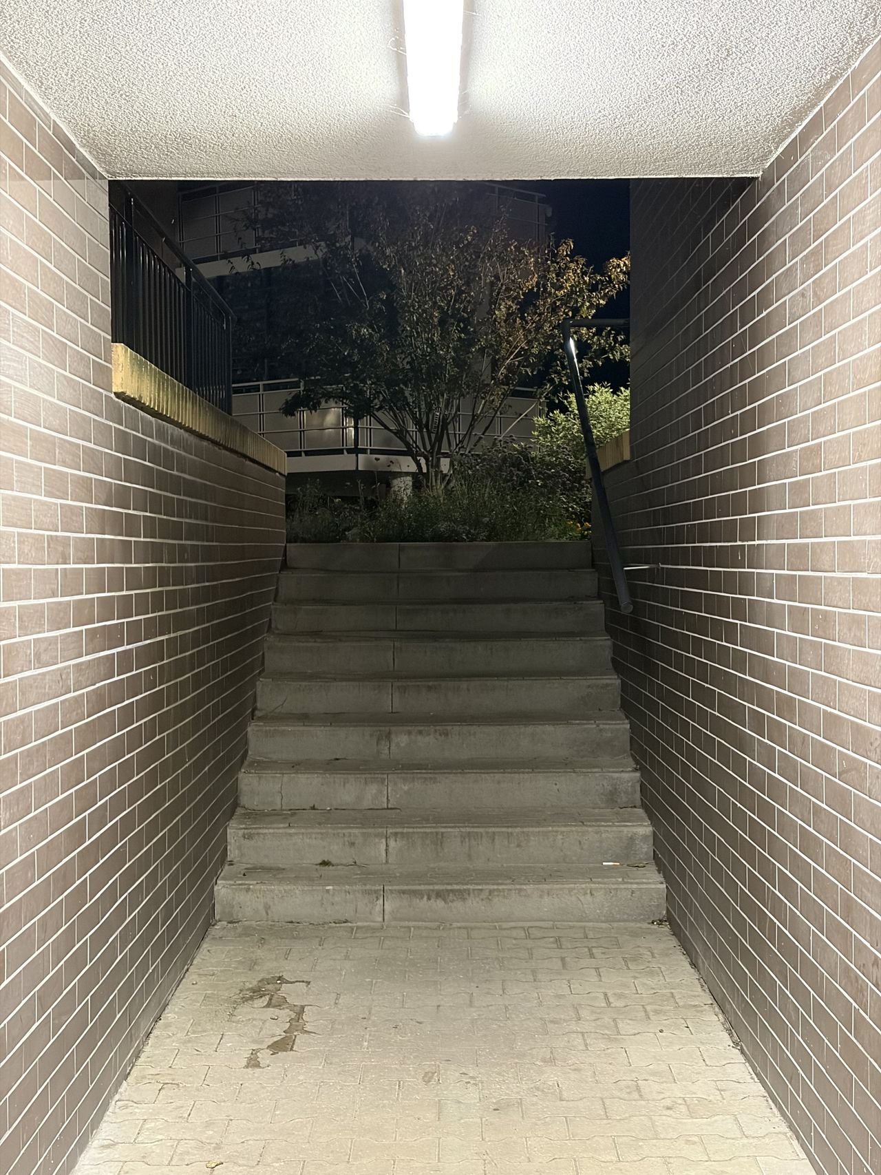 iPhone 17 test