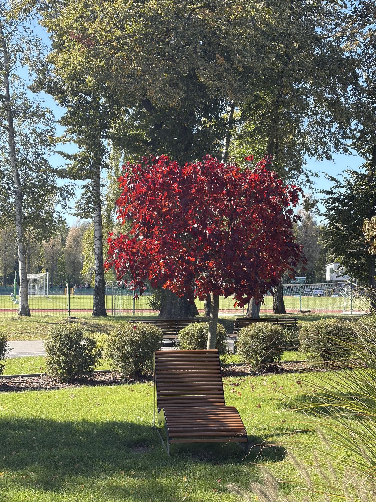 iPhone 17 test
