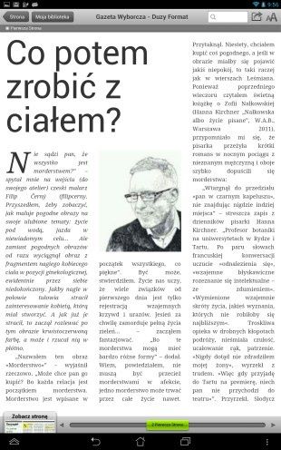 Obraz