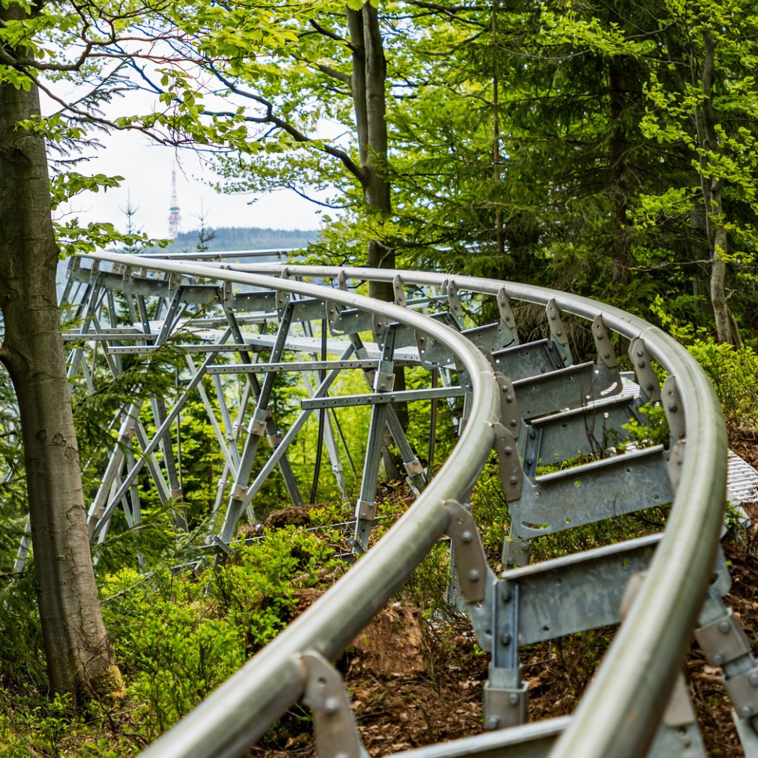 Salamandra Alpine Coaster.