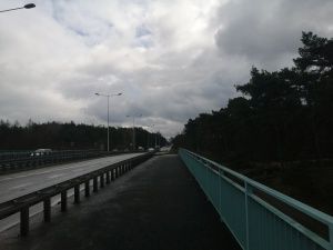 Honor 10 Lite aparat przykładowe zdjęcie