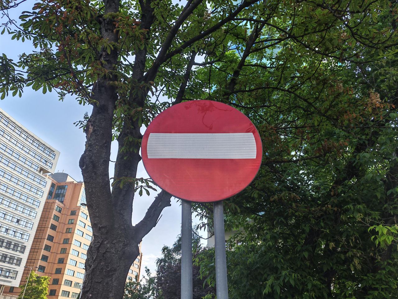 Przykładowe zdjęcia z Honora 600